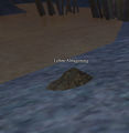 Thumbnail for version as of 11:49, 23 November 2014
