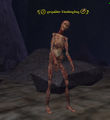 Thumbnail for version as of 22:27, 19 November 2014
