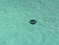 Thumbnail for version as of 16:07, 28 December 2014