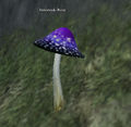 Thumbnail for version as of 14:53, 27 November 2014