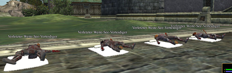 File:Verletzter Weite-See-Verteidiger.jpg