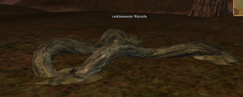 File:Verkümmerte Wurzeln.jpg
