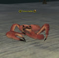 Thumbnail for version as of 21:21, 24 November 2014