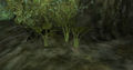Thumbnail for version as of 16:00, 20 November 2014