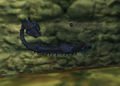 Thumbnail for version as of 12:40, 14 December 2014