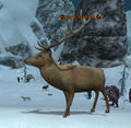 Thumbnail for version as of 10:09, 29 December 2014