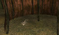 Thumbnail for version as of 18:42, 1 January 2015